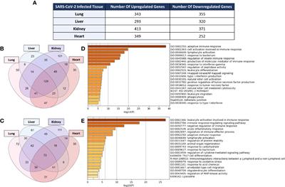 Systems Immunology Analysis Reveals the Contribution of Pulmonary and Extrapulmonary Tissues to the Immunopathogenesis of Severe COVID-19 Patients